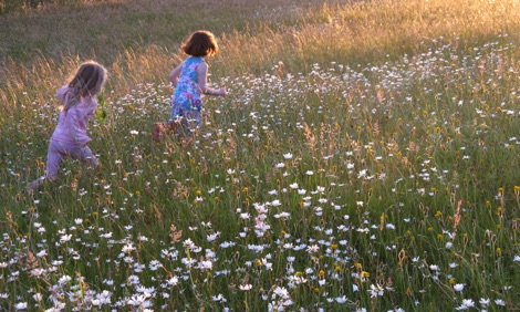 Kids in a meadow